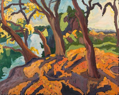 Ageing trees by Marta Martonfi Benke